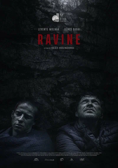 Постер: Овраг
